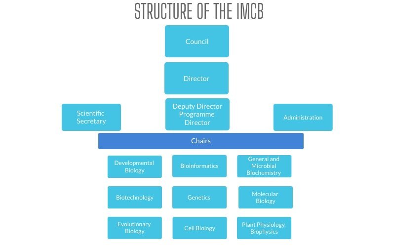 MR Structure Scheme ENG.jpg