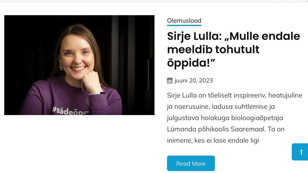 Sirje Lulla blogi reklaam