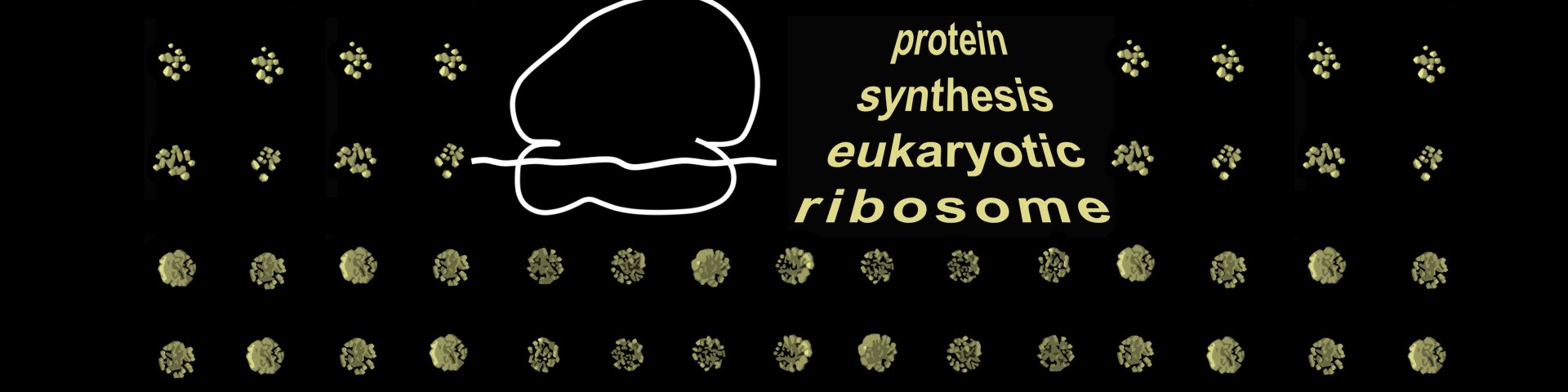 Eukarüootides toimuva valgusünteesi uurimisgrupp